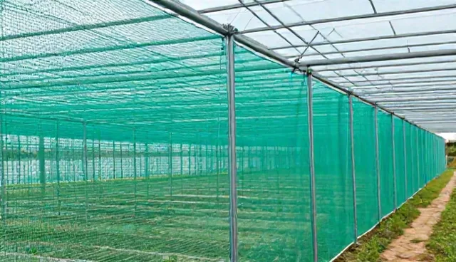 选型关注点：批量生产中的售后支持重要性
